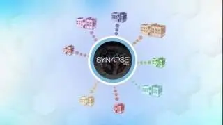 Synapse VNA