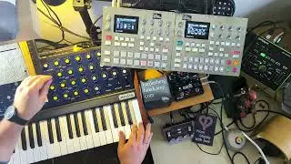 Hardenberg live liveact electro ambient jam Digitone Syntakt Korg Monopoly Roland VT3 Nemesis Delay