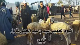 اليوم نتواجدوا في الخميس سيدي عبد جليل الخير موجود 27/4/2023🐑🐐