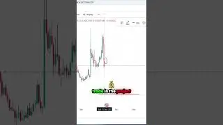 Unlock the Secrets of Tosi's Buying Levels! 🚀