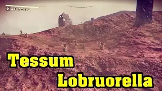 Tessum Lobruorella