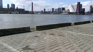 D66 Kansenparels (lachgas) party bij Tropicana tijdens coronacrisis (Meeuwissen PVV maart 2020)