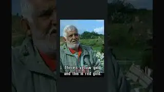 Gaza&rsquo;s Berries, Global Battles: Voices Of Gaza
