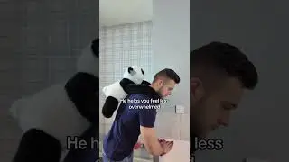 Would you try this weighted stuffed animal? 🐼 #anxietyrelief