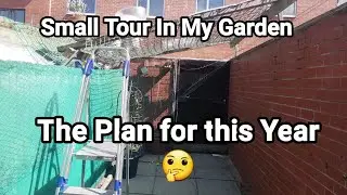 Small Tour In My Small Garden Shokher Bagan Oldham 2021 UK