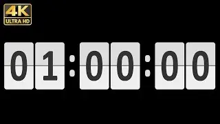 Timer 1 hour