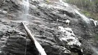 Wilderness Falls, 1-5-2011.AVI