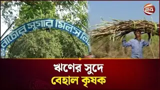 ঋণের সুদে বেহাল কৃষক | Agriculture | Natore | Channel 24