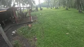 My 6am morning routine in retirement on the farm in the Philippines