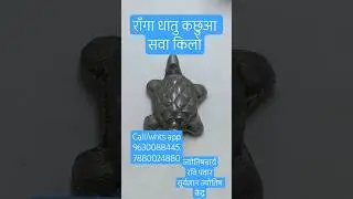 राँगा धातु कछुआ सवा किलो|Ranga dhatu kachua sava kilo|Tin metal tortoise|टीन मेटल टोरटॉइस