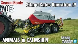 Silage Bales Operation | ANIMALS in CALSMDEN #03 | FS22 Gameplay | PS5/HD