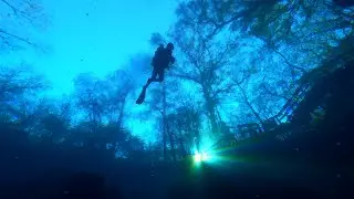 Cavern Diver Training at Orange Grove Sink