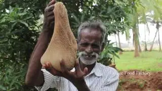 Daddy prepare a full Goat Intestine masala in my village / VILLAGE FOOD FACTORY