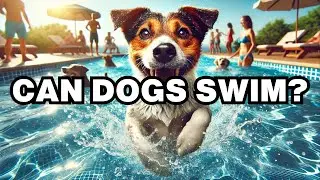 Can Dogs Swim? Explained