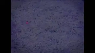 Hyperion - Filante II