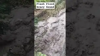 Flash Flood Scary Sound