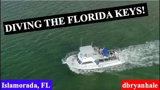 BEST SCUBA DIVING IN THE FLORIDA KEYS! Islamorada Dive Center, Islamorada, FL, Keys