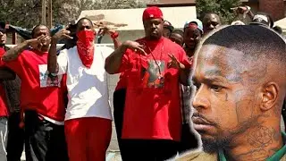 🚨BLOOD MEMBER Drops Murder Confession During NO JUMPER Interview!😳For This Reason