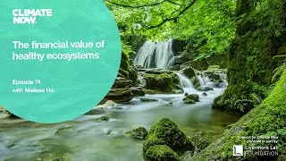 The financial value of healthy ecosystems