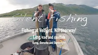 Fishing at Velfjord, Nordnorway! Ling, cod and coalfish (Leng, Dorsche und Seelachse)#fishing #fish