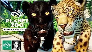 ▶ Planet Zoo South America Pack DLC и бесплатное обновление 1.2 | Обзор и рецензия