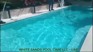 How to remove black algae from pool