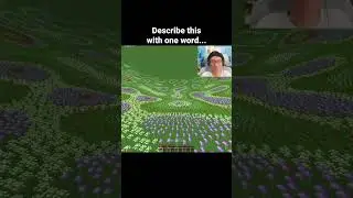 Minecraft Flower World Moment
