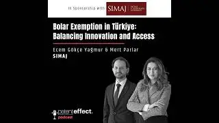 071 - Bolar Exemption in T&uuml;rkiye: Balancing Innovation and Access