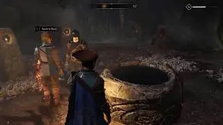 GREEDFALL Trail of Water Puzzle