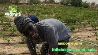 LCBT ak technicien bi Modou Gueye