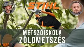 Zöldmetszés - öszibarack | STIHL metsző-iskola