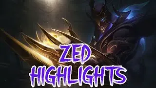 ZED HIGHLIGHTS: NOW IT'S TWO PUZZIES MID? ZPOTLIGHT ON THIS KARMA, ZLOW BUT REWARDING GAME!