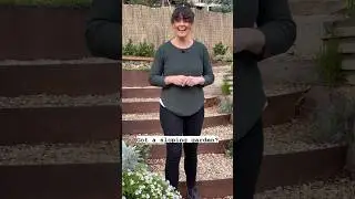 Planting a Garden on the Slope? Here's How!