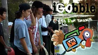 iGobble | Raw HVX170 Footage | iDabble Event 2022