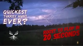 Quickest Turkey Hunt Ever? Roost to Flop in 20 Seconds