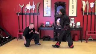 TenTigers 