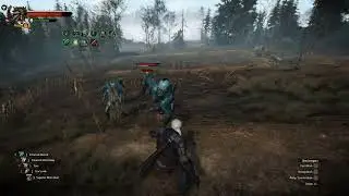 W3EE redux: Blizzard Wolf vs drowners (Quen)