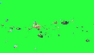 Awesome Tropical Coral Fish Animation Green Screen Effect Free