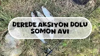 Derede Alabalık Avı Somon Avı | Bol Aksiyonlu Balık Avı