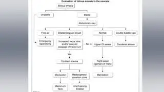 How to evaluate  Bilious emesis in the Neonate ?