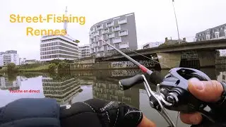 P&ecirc;che en Bait Finesse BFS #8 Street-Fishing &agrave; Rennes