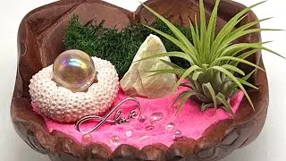 Beachy Home Decor Handcrafted Wood HandHolders - Air Plants and Tea Candles!