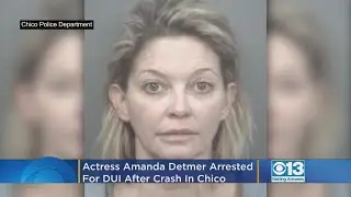 &lsquo;Empire,&rsquo; &lsquo;Final Destination&rsquo; Actress Amanda Detmer Arrested For DUI In Chico