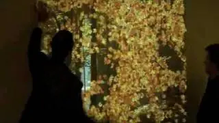 WallFx.wmv