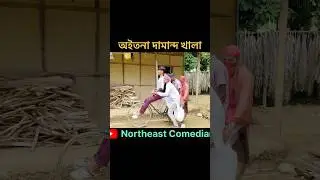 Northeast Comedians shorts