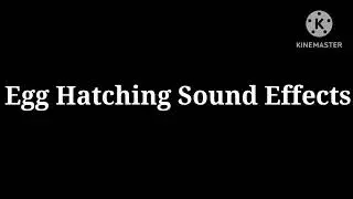 Egg Hatching Sound Effects