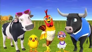 El Pollito y el Tractor de la Granja del Toro y del Pollito la Granja de la vaca