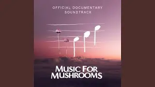 Sit Around The Fire (Radio Edit)