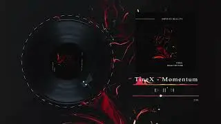 TineX - Momentum