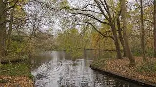 Beautiful Fall Foliage at Madestein Park, The Hague NL | Quiet Walk | #eleonoraswalks